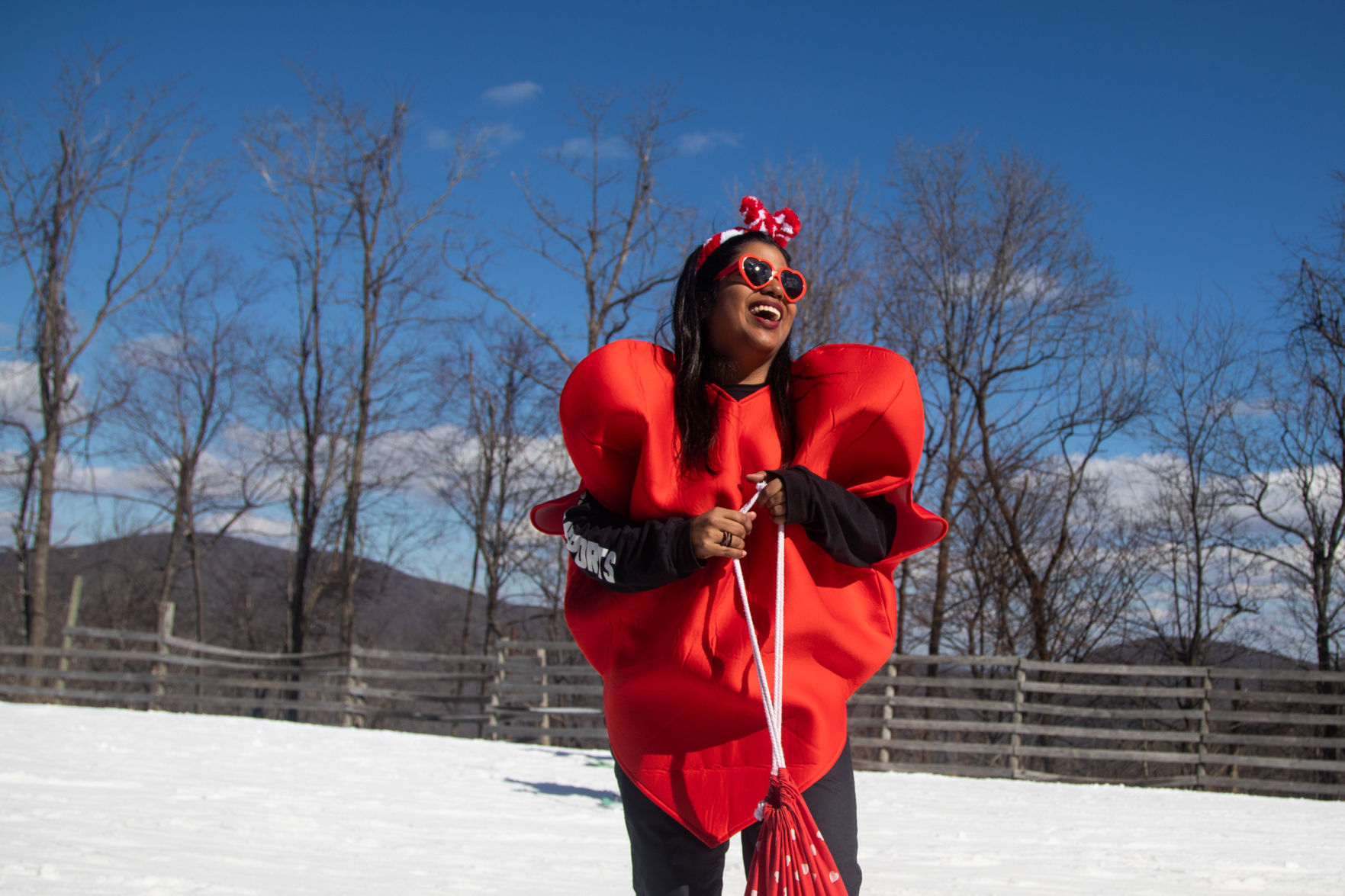 Wintergreen 03